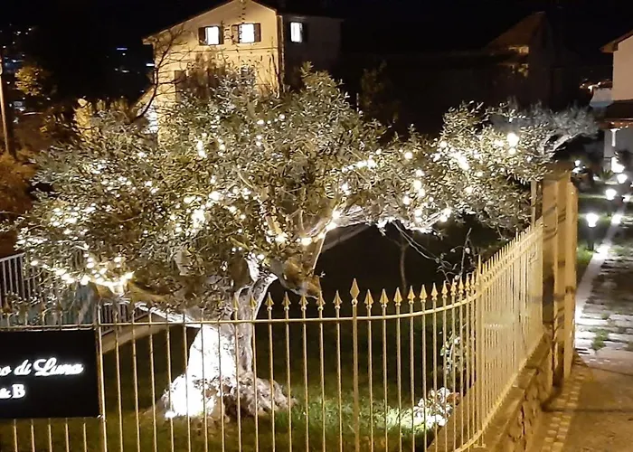 Al Chiaro Di Luna