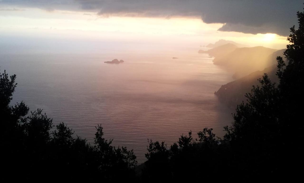 Al Chiaro Di Luna Bed & Breakfast