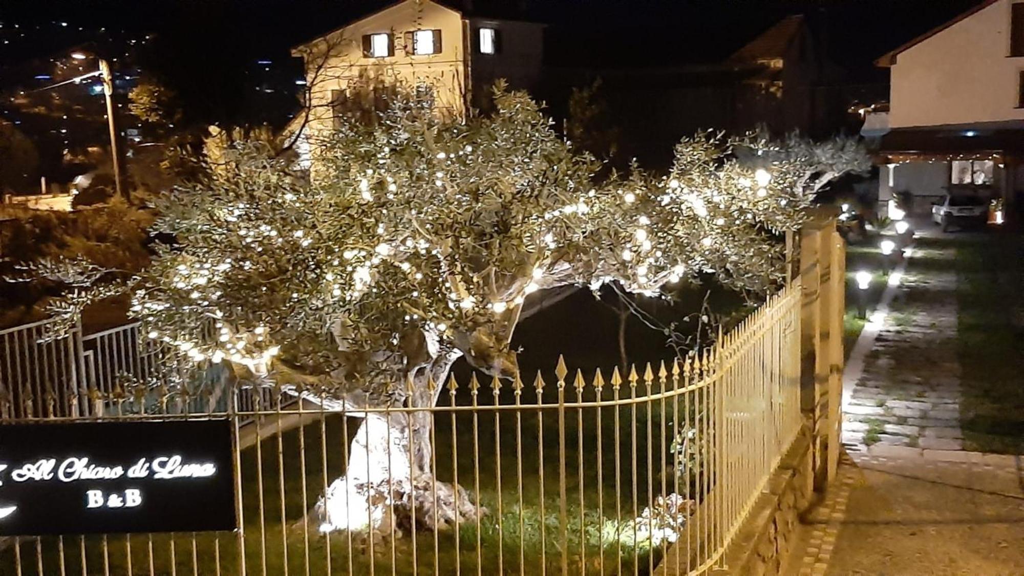 Bed & Breakfast Al Chiaro Di Luna Agerola